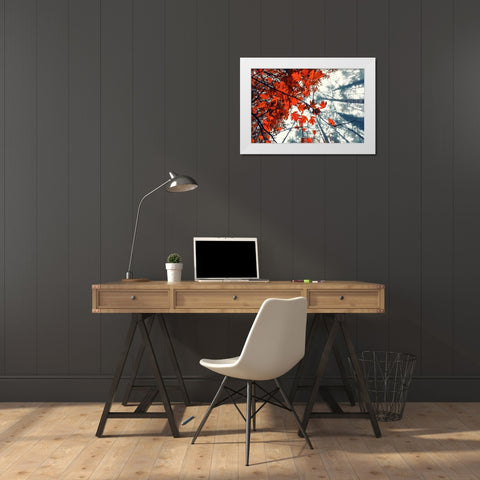 Red Autumn Leaves White Modern Wood Framed Art Print by Vitomirov, Igor