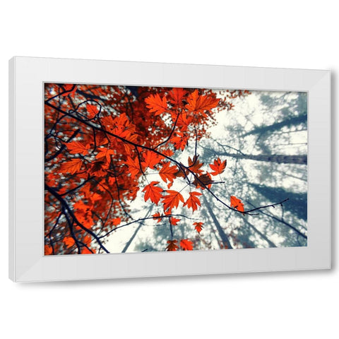 Red Autumn Leaves White Modern Wood Framed Art Print by Vitomirov, Igor