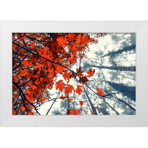 Red Autumn Leaves White Modern Wood Framed Art Print by Vitomirov, Igor