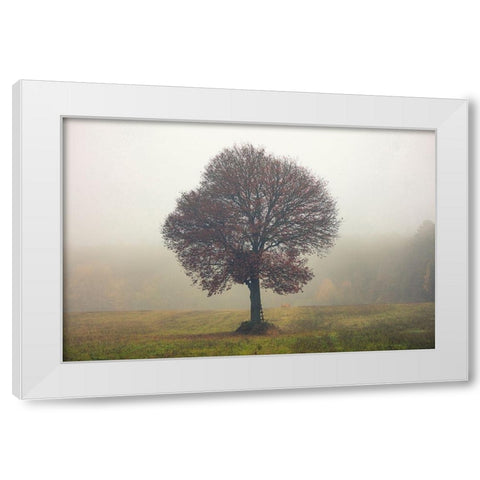 Tree In The Mist White Modern Wood Framed Art Print by Vitomirov, Igor
