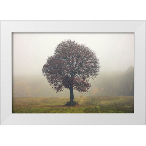 Tree In The Mist White Modern Wood Framed Art Print by Vitomirov, Igor