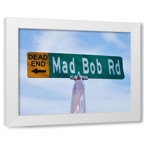 Mad Bob White Modern Wood Framed Art Print by Vaughn, Steve