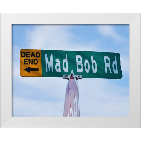 Mad Bob White Modern Wood Framed Art Print by Vaughn, Steve