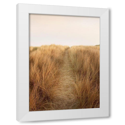 Dunes with Seagulls 6 White Modern Wood Framed Art Print by Winstanley, Ian