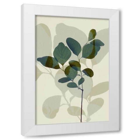Green Leaves 7 White Modern Wood Framed Art Print by Winstanley, Ian
