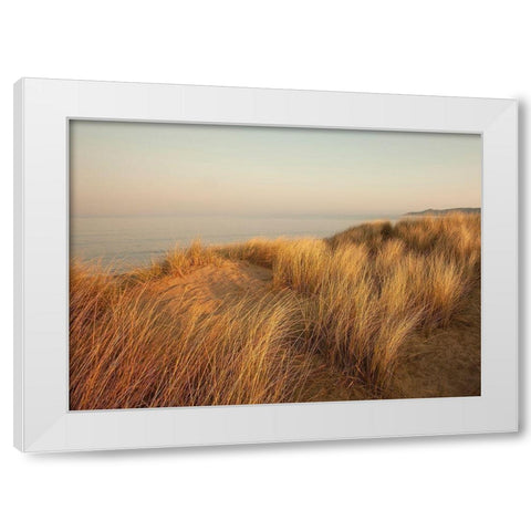 Dunes with Seagulls 7 White Modern Wood Framed Art Print by Winstanley, Ian