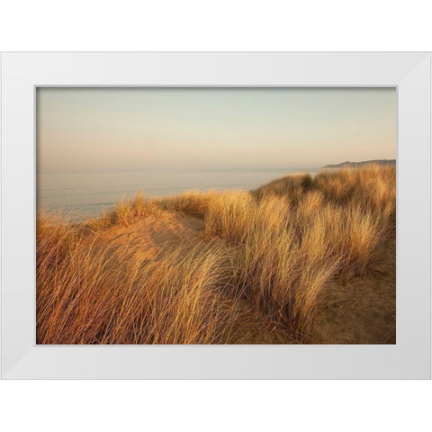 Dunes with Seagulls 7 White Modern Wood Framed Art Print by Winstanley, Ian