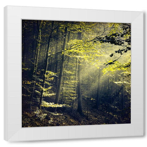 Being There Revisited White Modern Wood Framed Art Print by Wustenhagen, Dirk