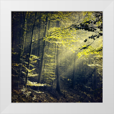 Being There Revisited White Modern Wood Framed Art Print by Wustenhagen, Dirk