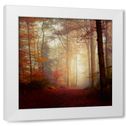 Fall Hike White Modern Wood Framed Art Print by Wustenhagen, Dirk