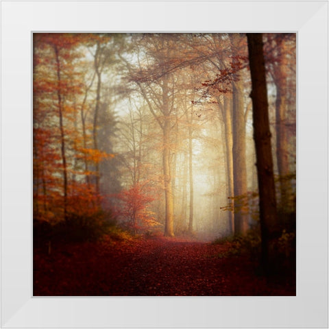 Fall Hike White Modern Wood Framed Art Print by Wustenhagen, Dirk