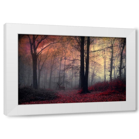 Forest Dream White Modern Wood Framed Art Print by Wustenhagen, Dirk