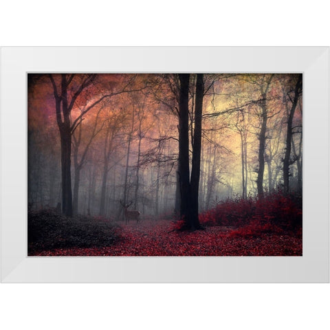 Forest Dream White Modern Wood Framed Art Print by Wustenhagen, Dirk