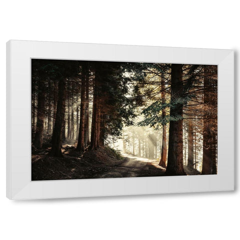 Light Magic White Modern Wood Framed Art Print by Wustenhagen, Dirk