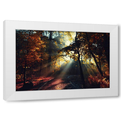 Magic Forest Light White Modern Wood Framed Art Print by Wustenhagen, Dirk