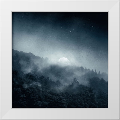 Night Shadows White Modern Wood Framed Art Print by Wustenhagen, Dirk