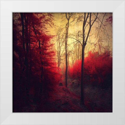 Ruby Red Forest White Modern Wood Framed Art Print by Wustenhagen, Dirk