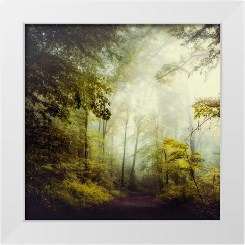 Glorious Woods White Modern Wood Framed Art Print by Wuestenhagen, Dirk