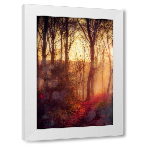 Seasons Light White Modern Wood Framed Art Print by Wuestenhagen, Dirk