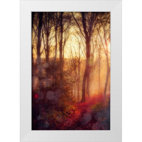 Seasons Light White Modern Wood Framed Art Print by Wuestenhagen, Dirk