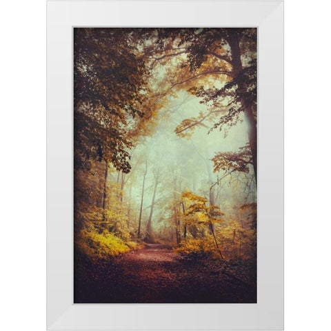 Silent Forest White Modern Wood Framed Art Print by Wuestenhagen, Dirk