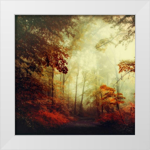Thats Not My Way White Modern Wood Framed Art Print by Wuestenhagen, Dirk