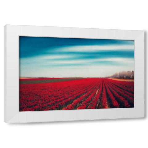 Tulips White Modern Wood Framed Art Print by Wuestenhagen, Dirk