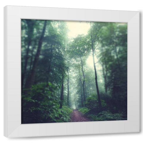 Waldweg White Modern Wood Framed Art Print by Wuestenhagen, Dirk
