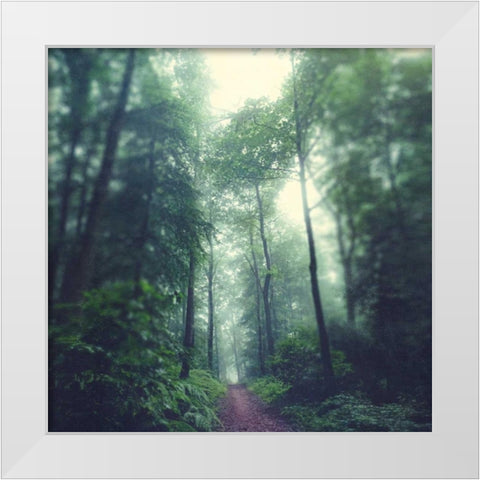 Waldweg White Modern Wood Framed Art Print by Wuestenhagen, Dirk
