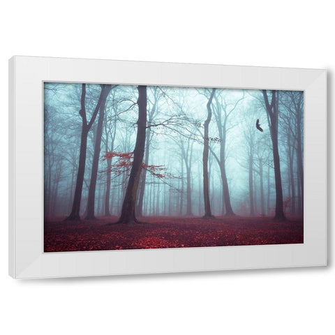 Solstice in Fog White Modern Wood Framed Art Print by Wuestenhagen, Dirk