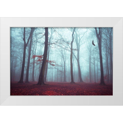 Solstice in Fog White Modern Wood Framed Art Print by Wuestenhagen, Dirk