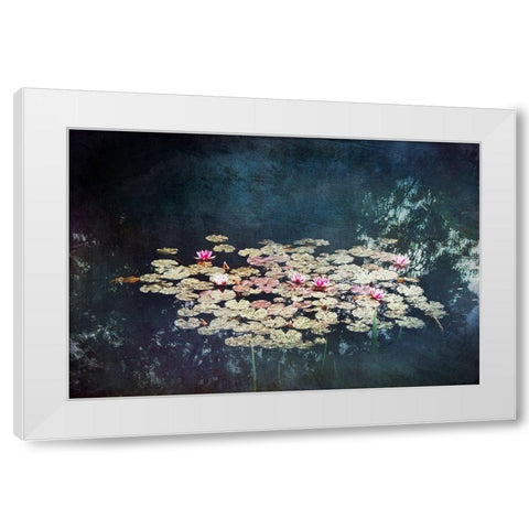 Waterlilies White Modern Wood Framed Art Print by Wuestenhagen, Dirk