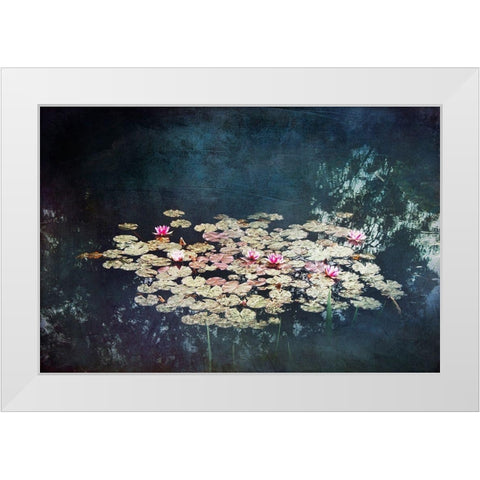 Waterlilies White Modern Wood Framed Art Print by Wuestenhagen, Dirk
