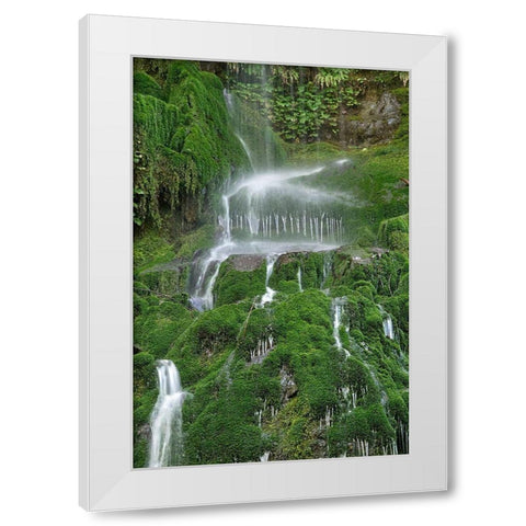 Moss Waterfall White Modern Wood Framed Art Print by White, Lynda