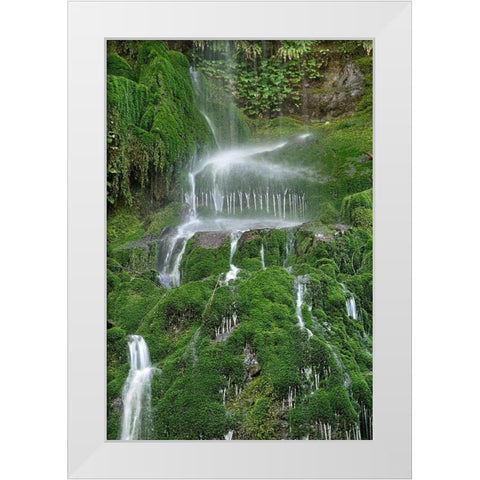 Moss Waterfall White Modern Wood Framed Art Print by White, Lynda