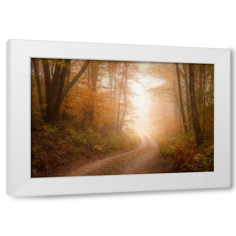 Familiar Dream White Modern Wood Framed Art Print by Zephyr, Patrick