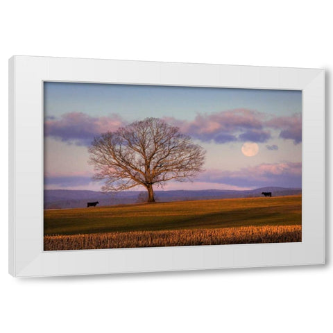 Meeting at Dawn White Modern Wood Framed Art Print by Zephyr, Patrick