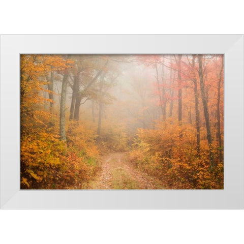 Passing Through White Modern Wood Framed Art Print by Zephyr, Patrick