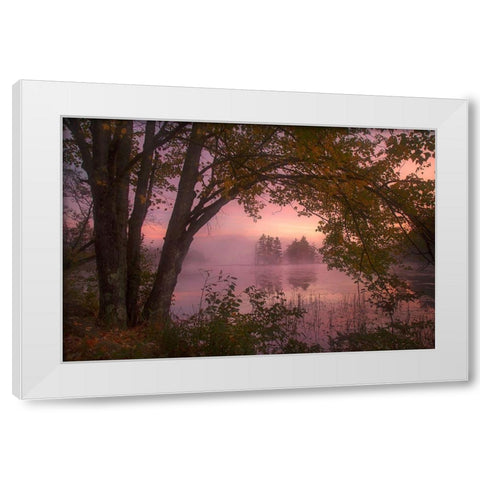 Framed White Modern Wood Framed Art Print by Zephyr, Patrick