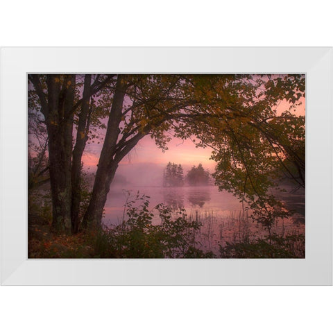 Framed White Modern Wood Framed Art Print by Zephyr, Patrick
