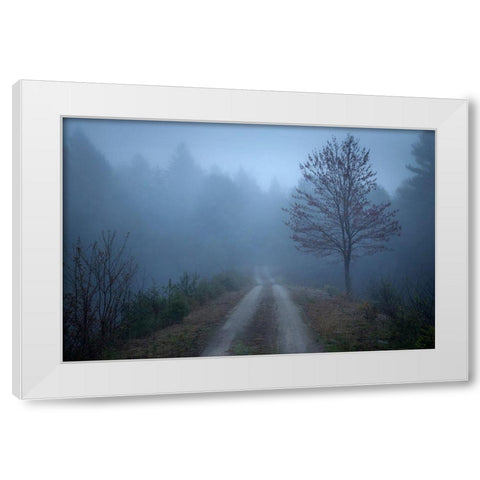 Spring Fog White Modern Wood Framed Art Print by Zephyr, Patrick
