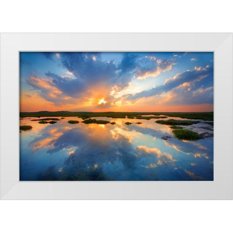 Plum Island White Modern Wood Framed Art Print by Zephyr, Patrick