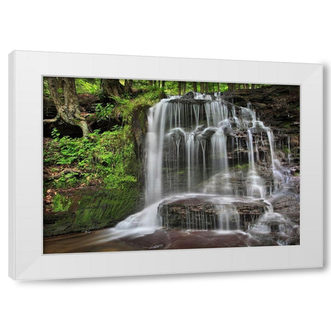 Gunn Brooks Falls White Modern Wood Framed Art Print by Zephyr, Patrick