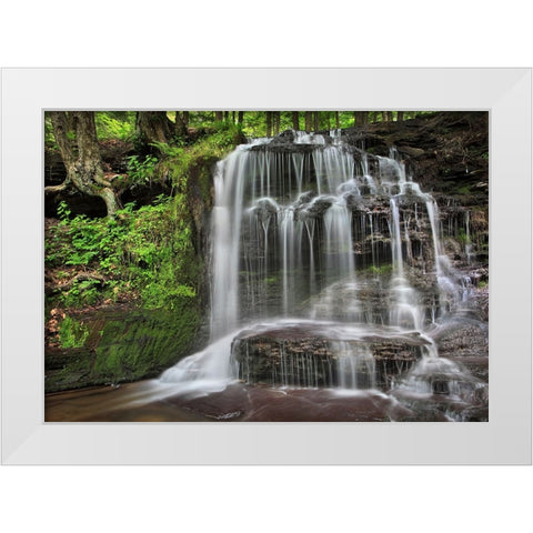 Gunn Brooks Falls White Modern Wood Framed Art Print by Zephyr, Patrick