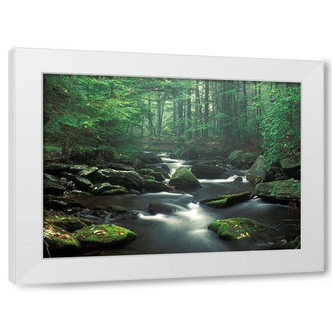 Sawmill River White Modern Wood Framed Art Print by Zephyr, Patrick