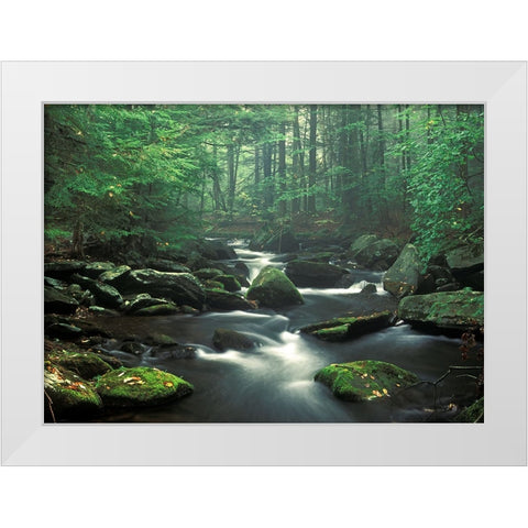 Sawmill River White Modern Wood Framed Art Print by Zephyr, Patrick