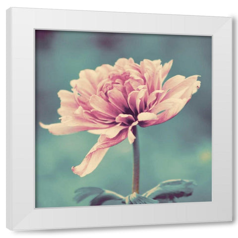 Gorgeous Pink White Modern Wood Framed Art Print by Peck, Gail