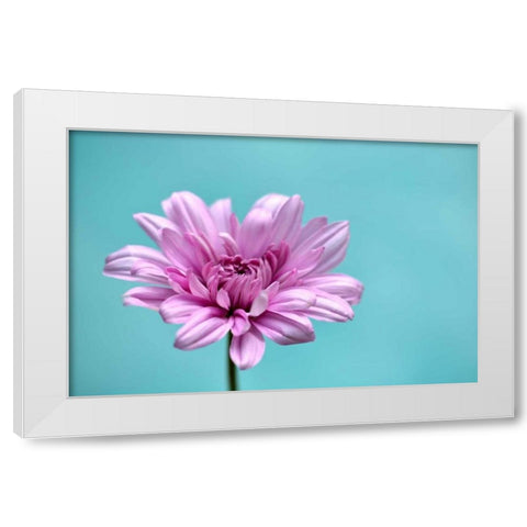 Surrounded in Blue White Modern Wood Framed Art Print by Peck, Gail