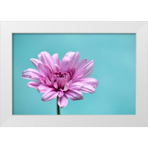 Surrounded in Blue White Modern Wood Framed Art Print by Peck, Gail