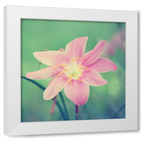 Alone in the Field White Modern Wood Framed Art Print by Peck, Gail